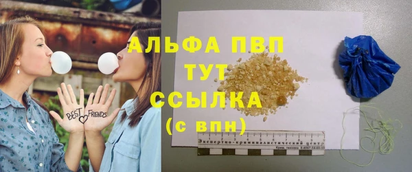трава Няндома