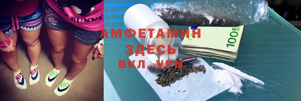 трава Няндома
