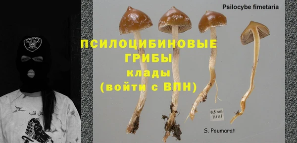 ALPHA PVP Нязепетровск