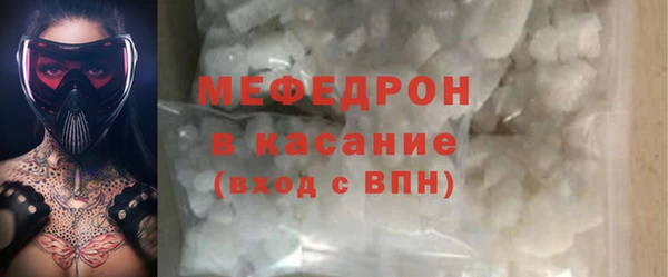 трава Няндома