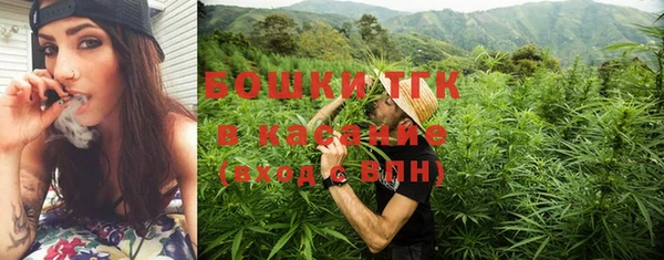 трава Няндома