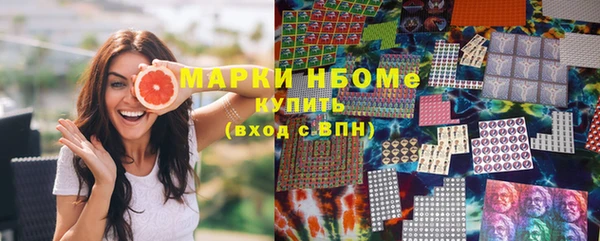 трава Няндома