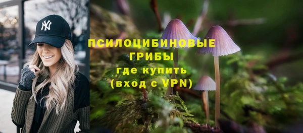 трава Няндома