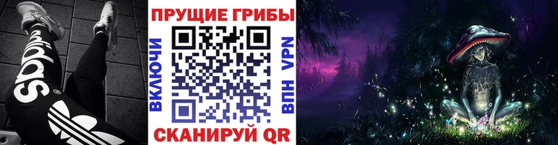Купить  Талица  Галлюциногенные грибы прущие грибы 